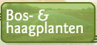 bosplanten en haagplanten