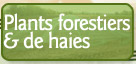 Plants forestiers et plants de haies