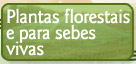 forest and hedging plants